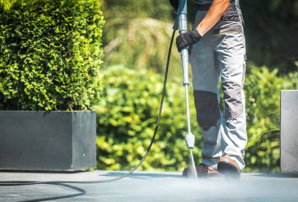 Best Warehouse Cleaning  in Lisle, IL